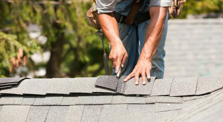 Roof Replacement 101: When to Panic and When to Chill